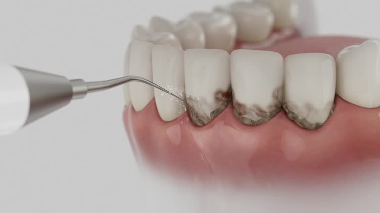 Reliable Dental contractor in Inverness, FL by Dentist Open Now